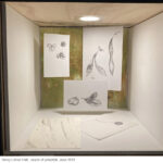 Thumbnail of 