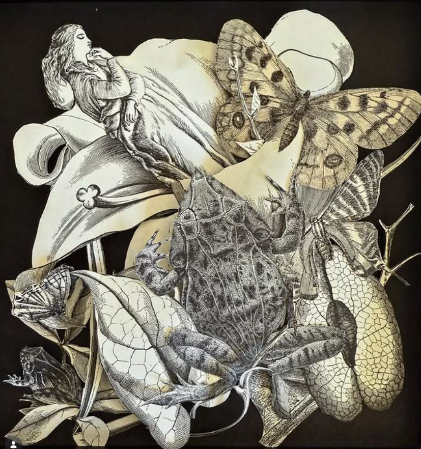Kate Huston - Montana-based Artist